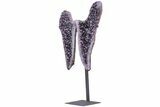 Amethyst Geode Wings on Metal Stand - Exceptional Quality Crystals #209260-3